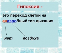 Клуб "Оптимист": о гипоксии и молитве Ефрема Сирина