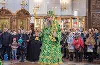 В праздник Входа Господня в Иерусалим митрополит Артемий совершил Божественную литургию в кафедральном соборе Хабаровска
